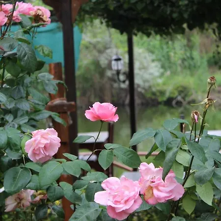 Elrio Country house