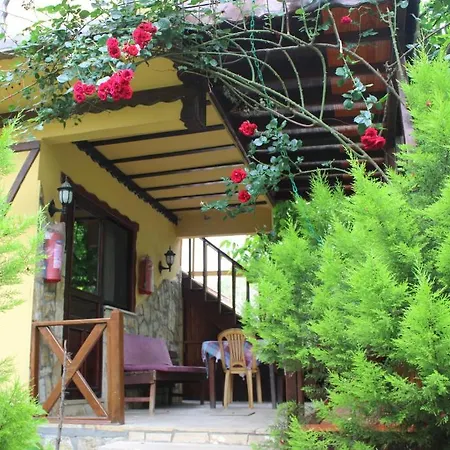 Elrio Gospodarstwo wiejskie Ağva